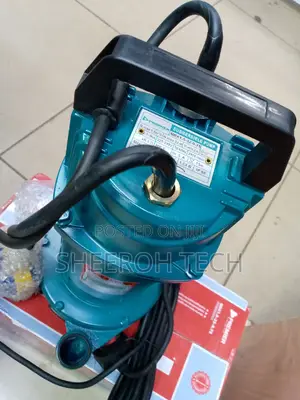 Electric Submersible Water/