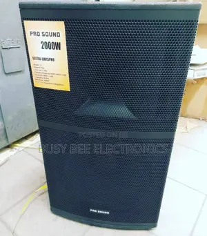 Prosound Wooden Box Speaker