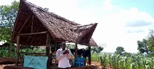 Makuti Roofing Shade for Relaxing and Businesses