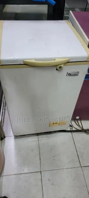 Mini Freezer 100l