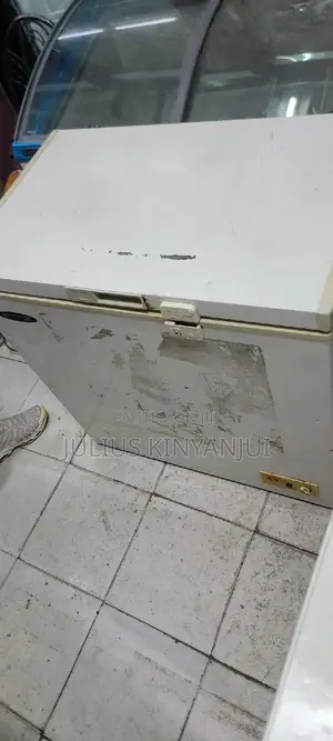 200L Deep Freezer