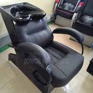 Sink Salon Chair 