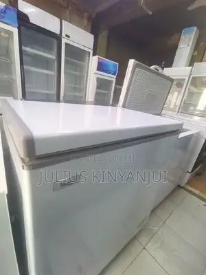 Ramtons 200L Deep Freezer