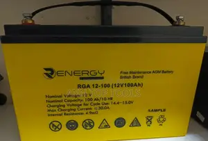 Renergy 100ah 12V Deep Cycle Battery