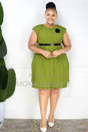 Chiffon Skater Dress