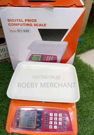 Digital Price Computing Scale 40kgs