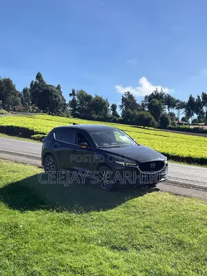 Cx5 Available for Hire