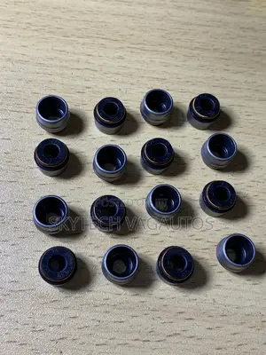 Volkswagen/Audi Valves Seals
