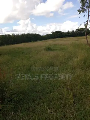 5 Acres for Sale in Birika Pipe Line Road