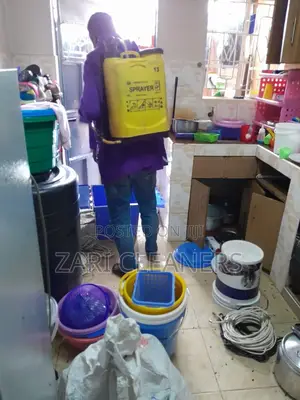 Cockroaches Intensive Treatment Services