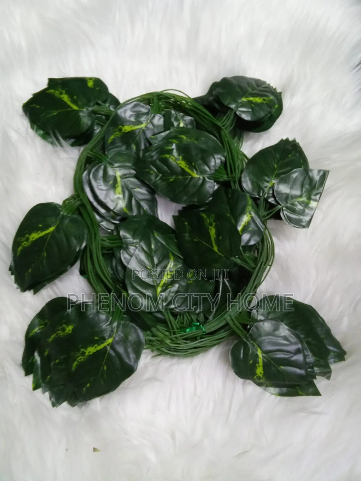 Decorative Vines Available