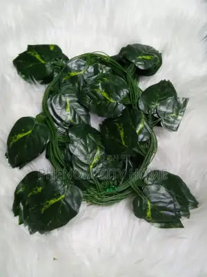 Decorative Vines Available