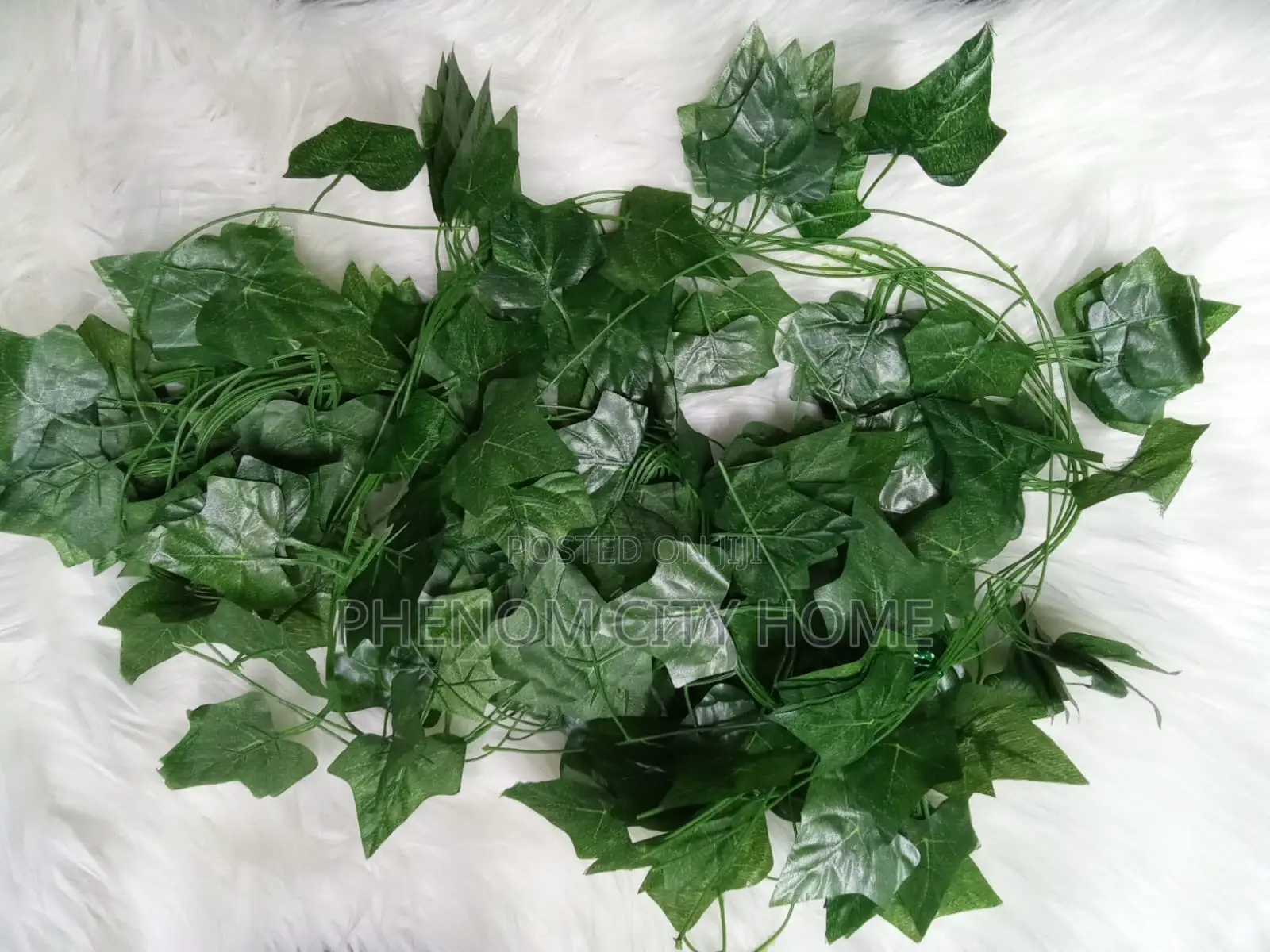 Decorative Vines Available
