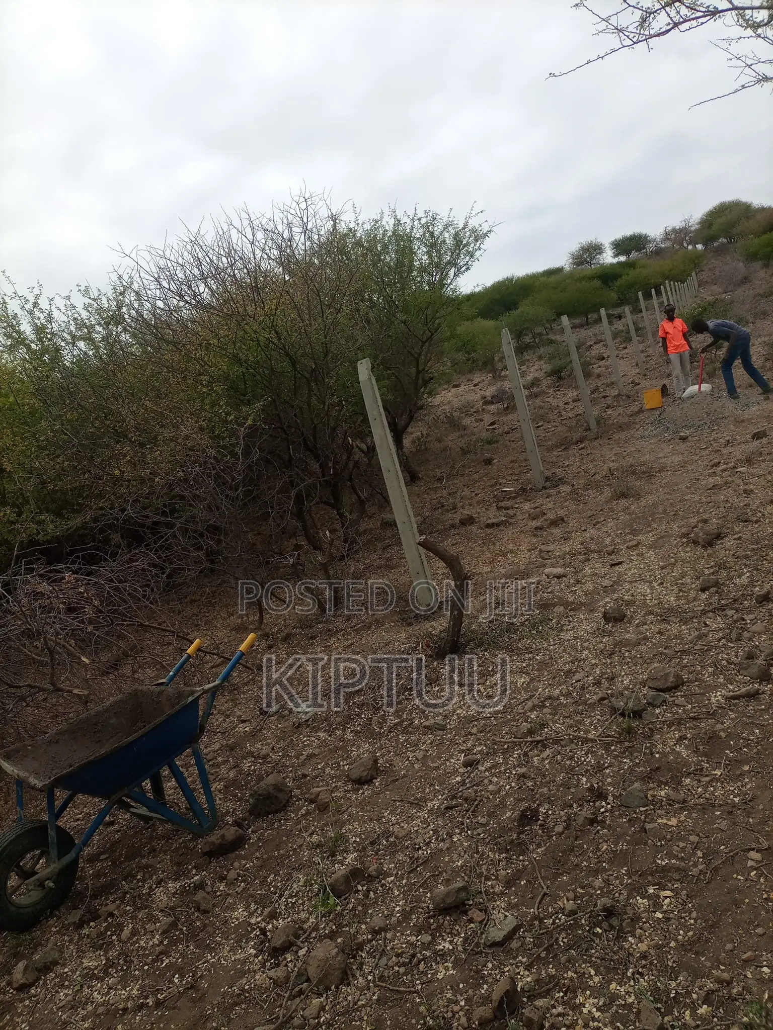 Fencing Service