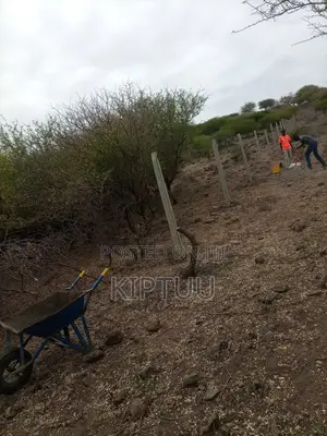 Fencing Service