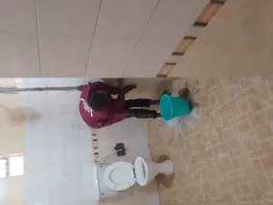Bathroom and Toilet Sanitation