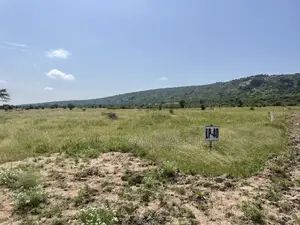 Lukenya Plains- Plots