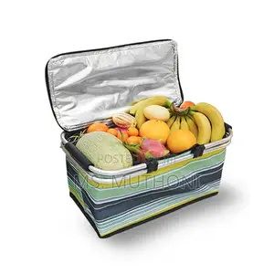 FOLDABLE Coloured Insulated Picnic Storage Bag