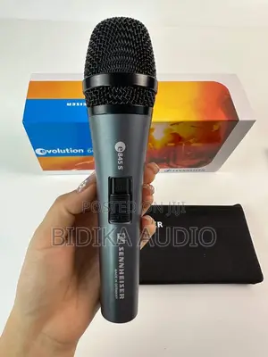 E835 Wired Microphone