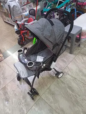 Reversible Baby Stroller