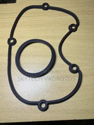 Volkswagen/Audi 2.0 Timing Seals / Gasket