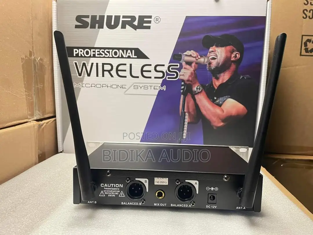 Professional Wireless Microphone