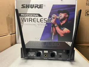 Professional Wireless Microphone