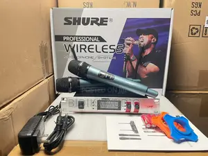 Professional Wireless Microphone