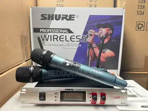 Professional Wireless Microphone