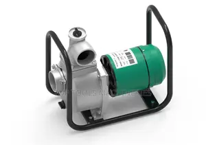 Shiyuan 2" Inch Surface Solar Pump