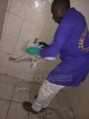 Sinks and Washroom Cleaning Services
