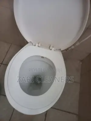 Sinks and Washroom Cleaning Services