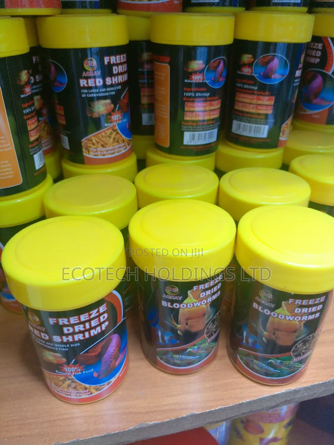 Freeze Dried Bloodworms