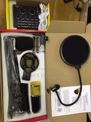 Bloggers Microphone Set