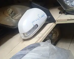 Vanguard Side Mirror