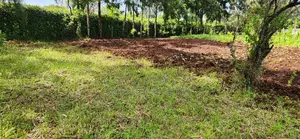1 Acre Kamandura, Limuru - Junction to Mai Mahiu - Perfect Investment