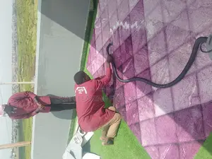 Quick Dry Carpet in and Out