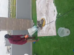 Lovely Carpet and Stain Removing
