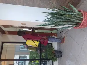 Superior Fumigation Services