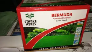 Bermuda Grass Seeds -500 Grams