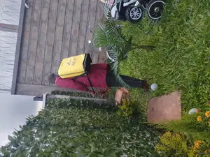 Compound Fumigation Against All Insects