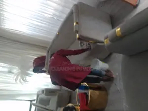 Fast Drying Sofa Cleaning Services