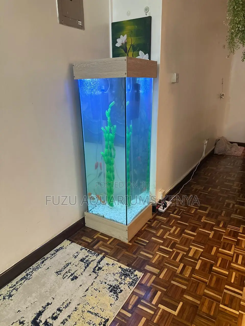 Tower Aquarium to Fit Anywhere