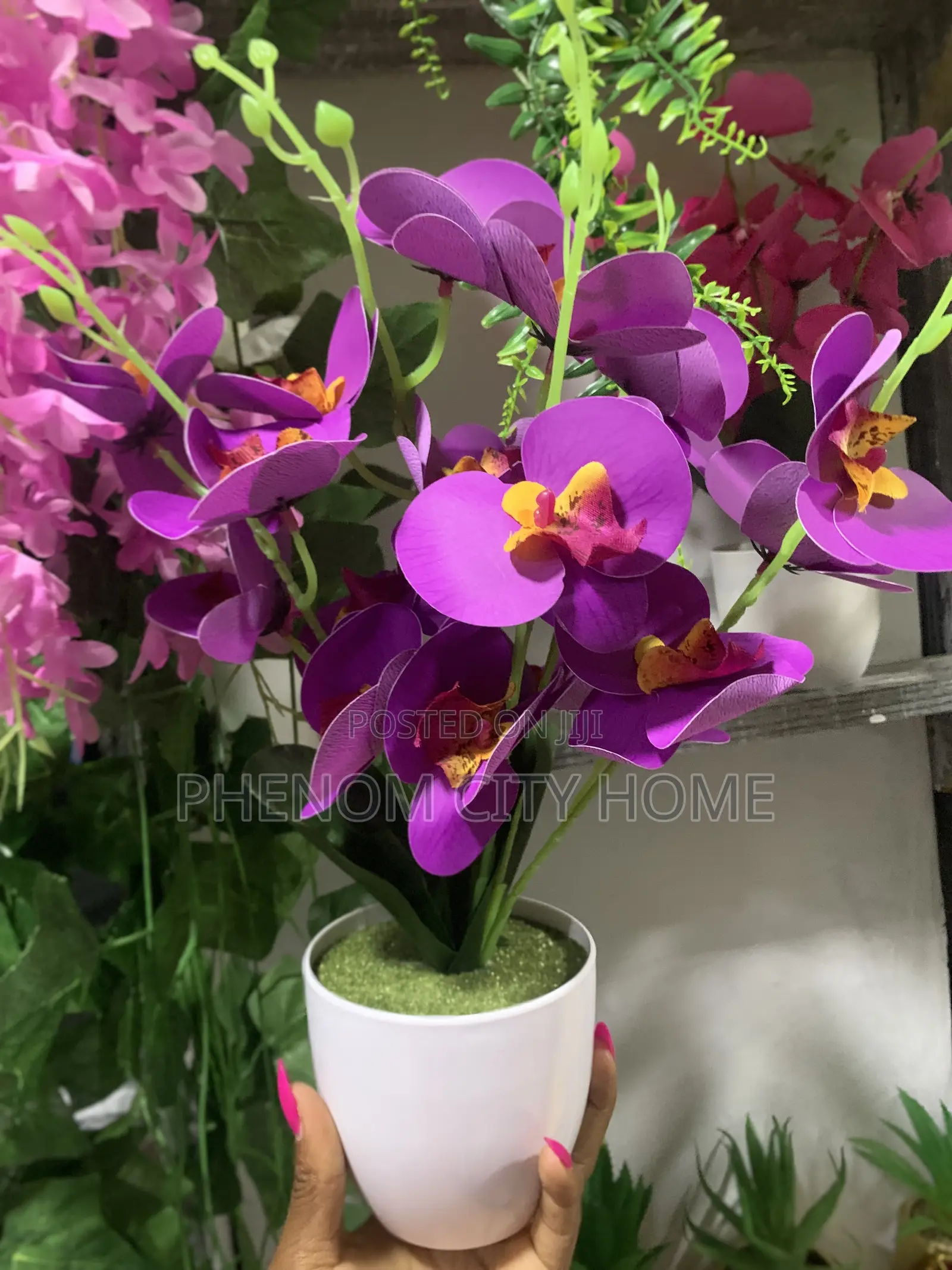 Decorative Orchid Flowers