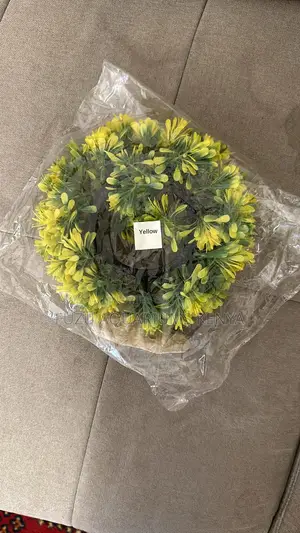 Classic Round Aquarium Plant