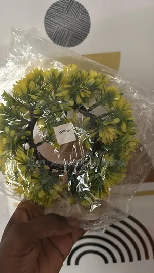 Yellow Round Wave-Like Plant