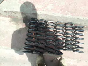 Nissan Teana Rear Coil Springs 