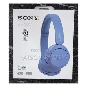 Wh-Ch520 Wireless Headphones With Microphone