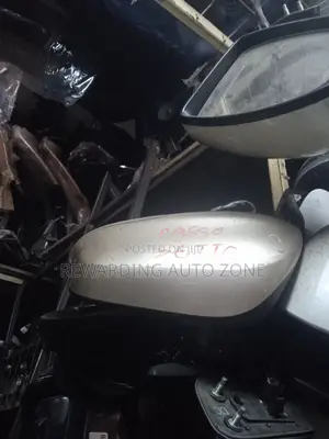 Passo Sette Side Mirror