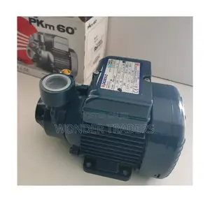 .Pedroll Water Pump,0.5hp Water Pump.